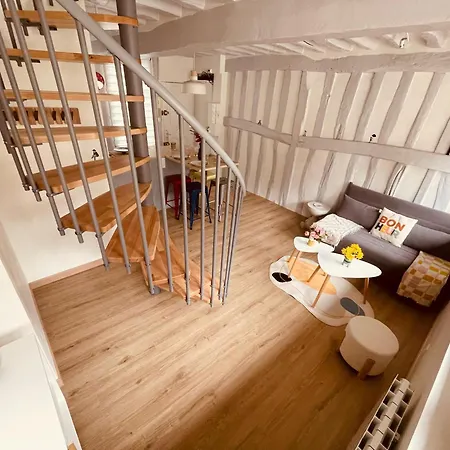 Notre Coin Secret - Jolie Duplex Au Fil Du Robec - 386