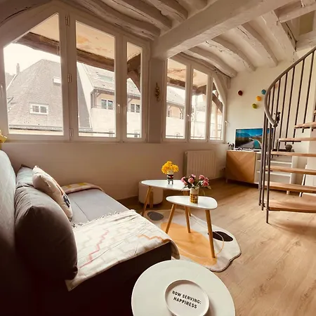 Apartamento Notre Coin Secret - Jolie Duplex Au Fil Du Robec - 386